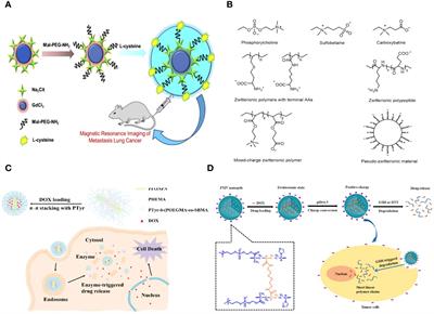 Current status, challenges and prospects of antifouling materials for oncology applications